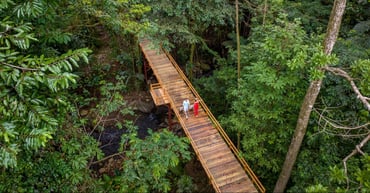 Temporada verde: vive los ritmos del bosque tropical en Chachagua