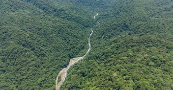 The Peñas Blancas River carves the lowlands of the Children’s Eternal Rainforest, nourishing life and clean energy