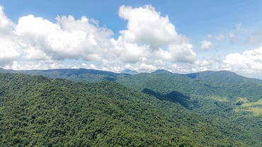 The Rhythm of Chachagua: When a Destination Sounds Like the Rainforest