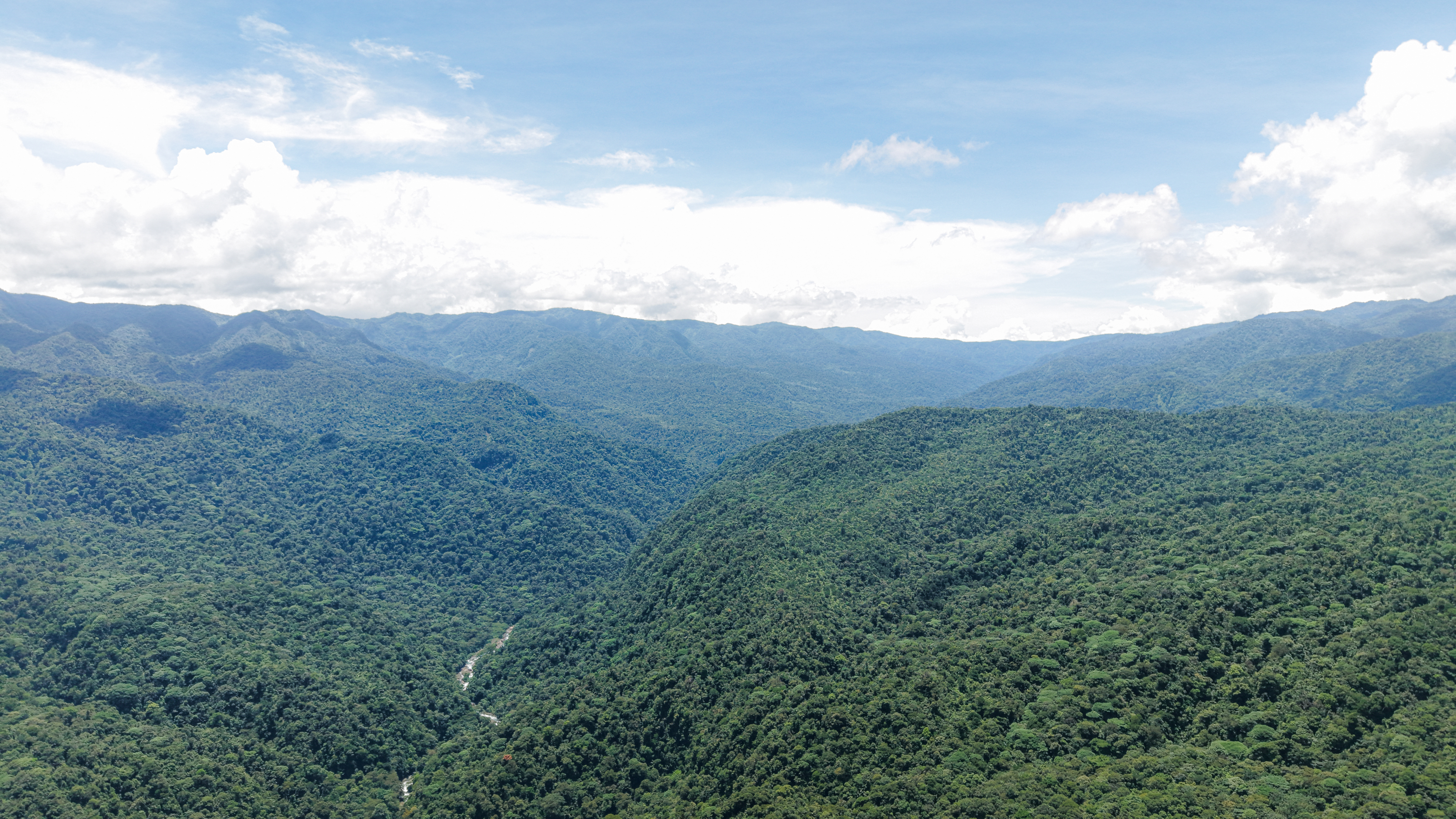 Costa Rica's Hidden Gem: The Children’s Eternal Rainforest