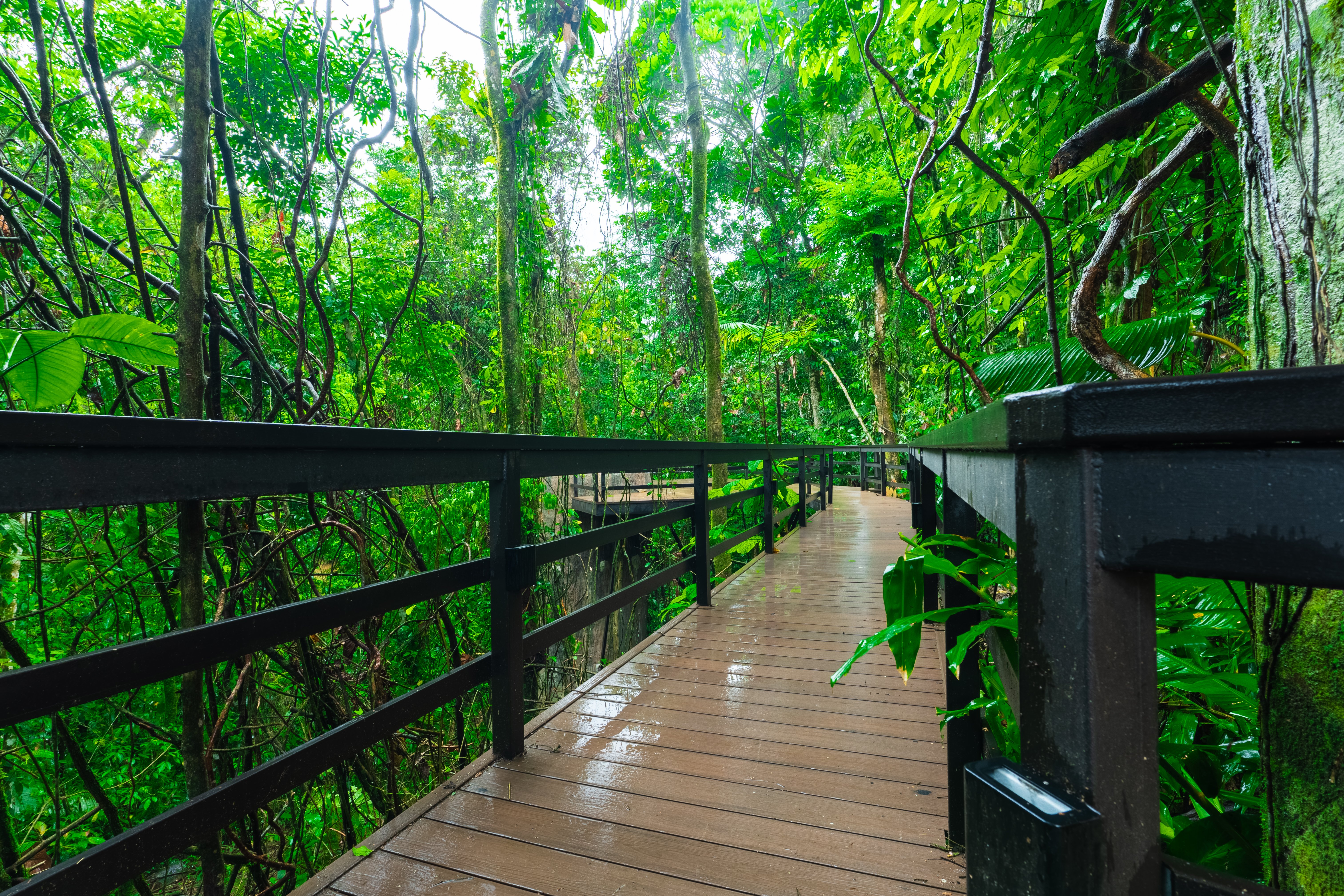 DSC06132-HDR