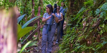 Into the Heart of Chachagua: A No-Cost Guided Journey Through Costa Rica’s Lush Rainforest