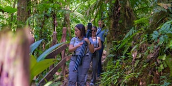 Into the Heart of Chachagua: A No-Cost Guided Journey Through Costa Rica’s Lush Rainforest