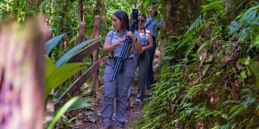 Into the Heart of Chachagua: A No-Cost Guided Journey Through Costa Rica’s Lush Rainforest
