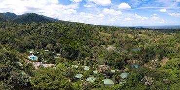 Chachagua: A Legacy of Conservation and Hospitality