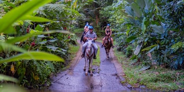 Discover the Magic of Chachagua on Horseback