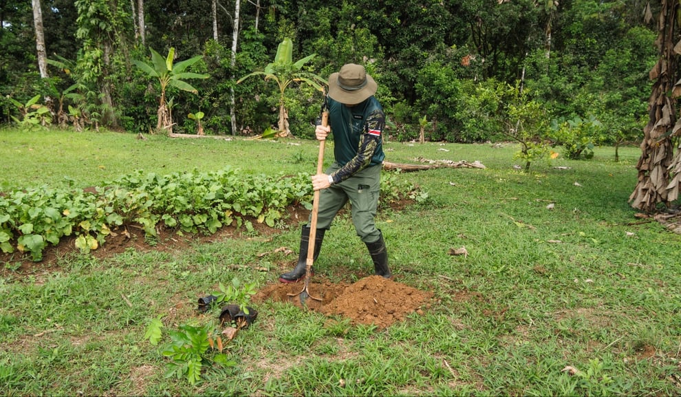 plantando arbol en Chachagua-1