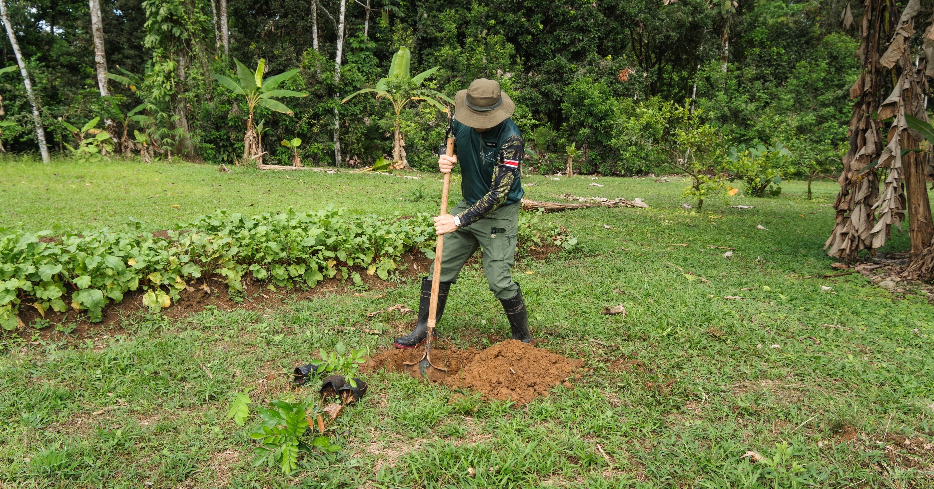 plantando arbol en Chachagua