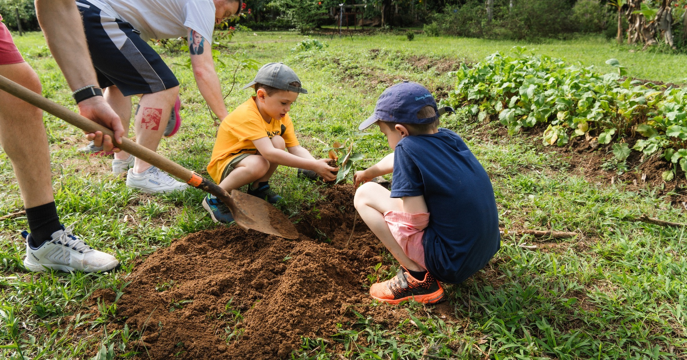 plantando arbol juntos en Chachagua
