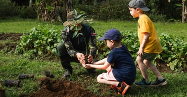 Rooted in Purpose: Reforesting the Rainforest in Chachagua