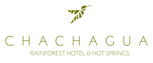 Logotipo Chachagua_Full Color