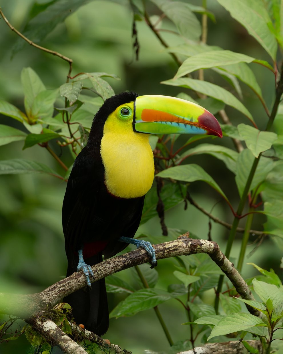 image00693 (1)