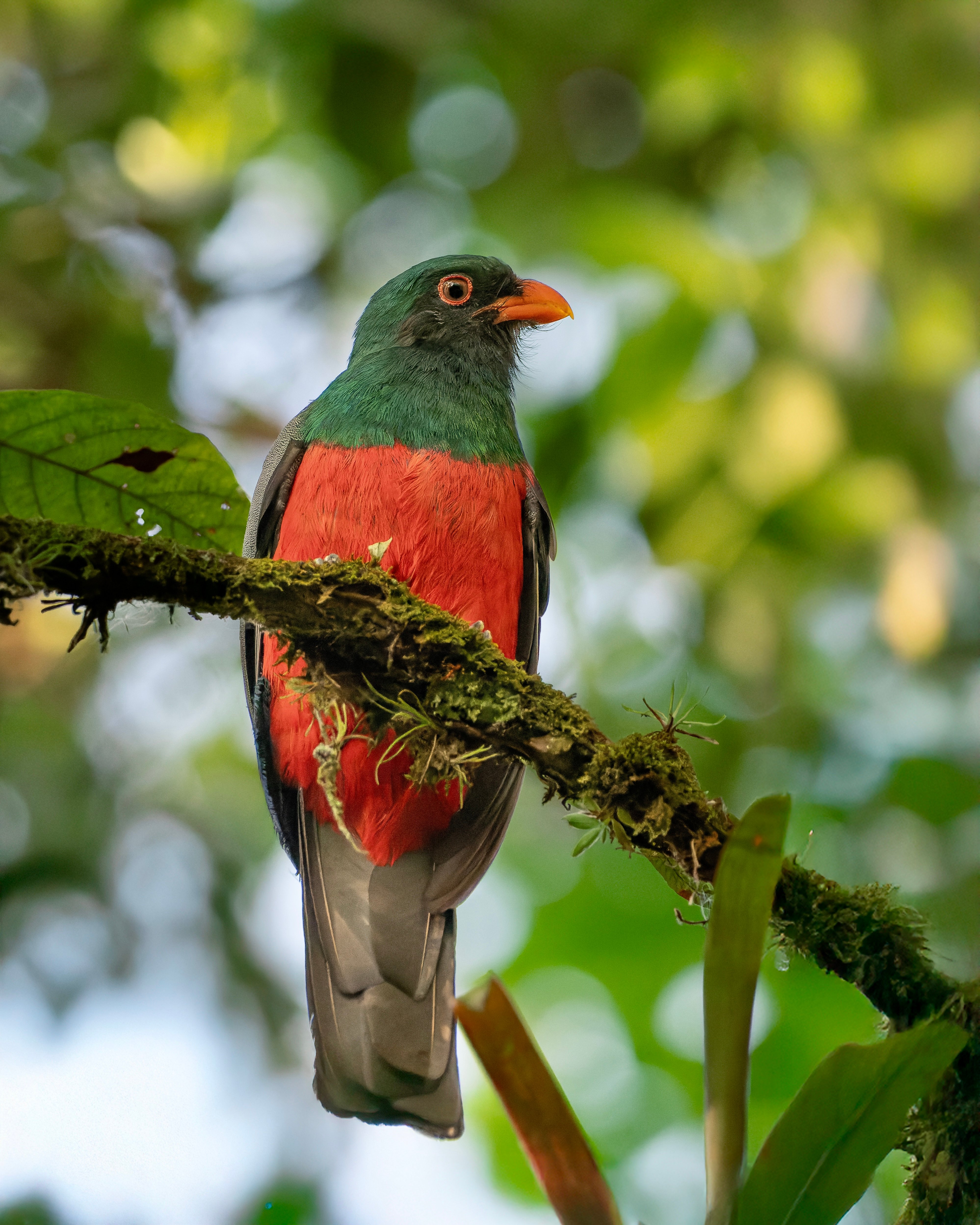 image00705