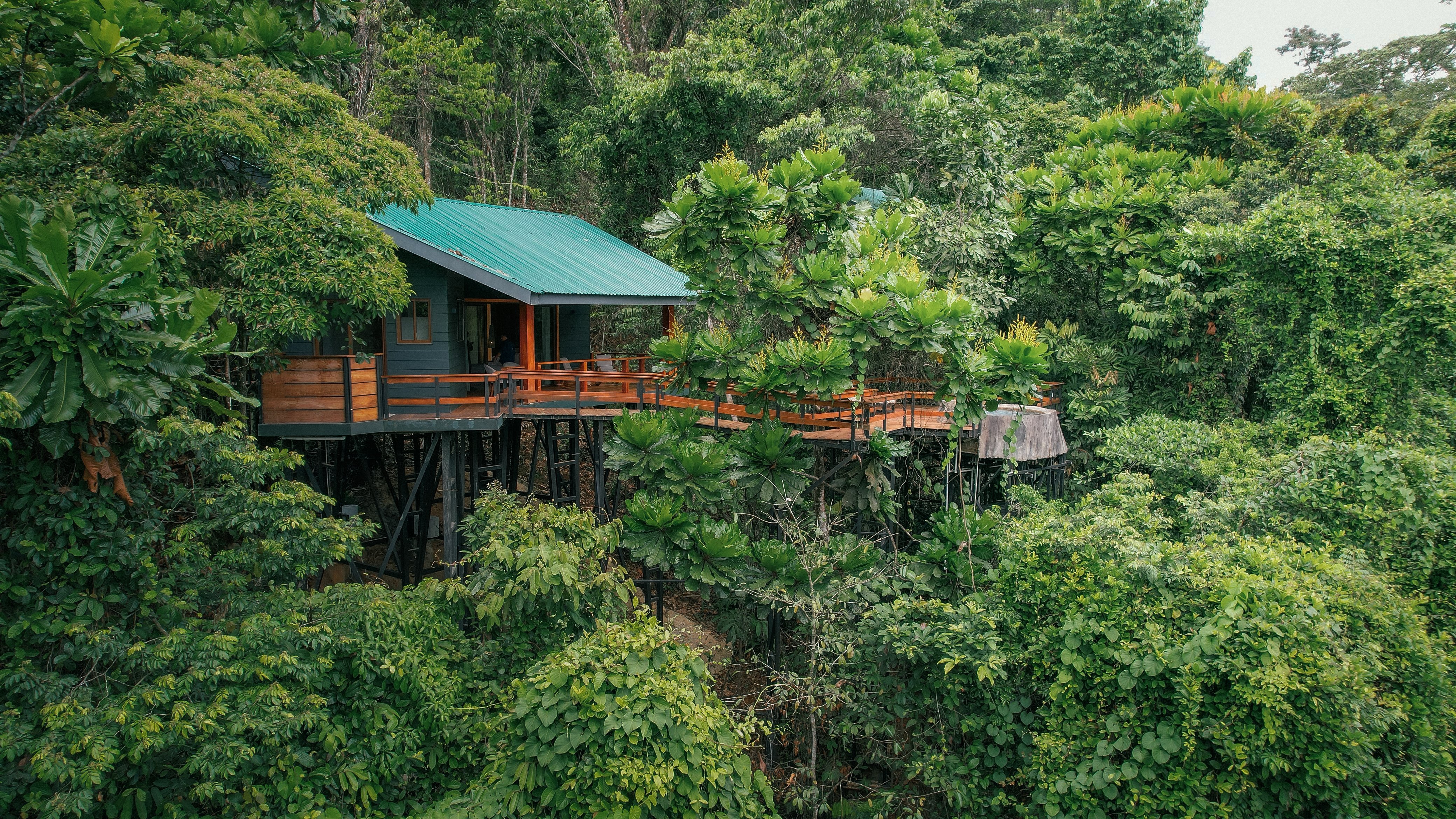 jungle tree house dron (14) (1)