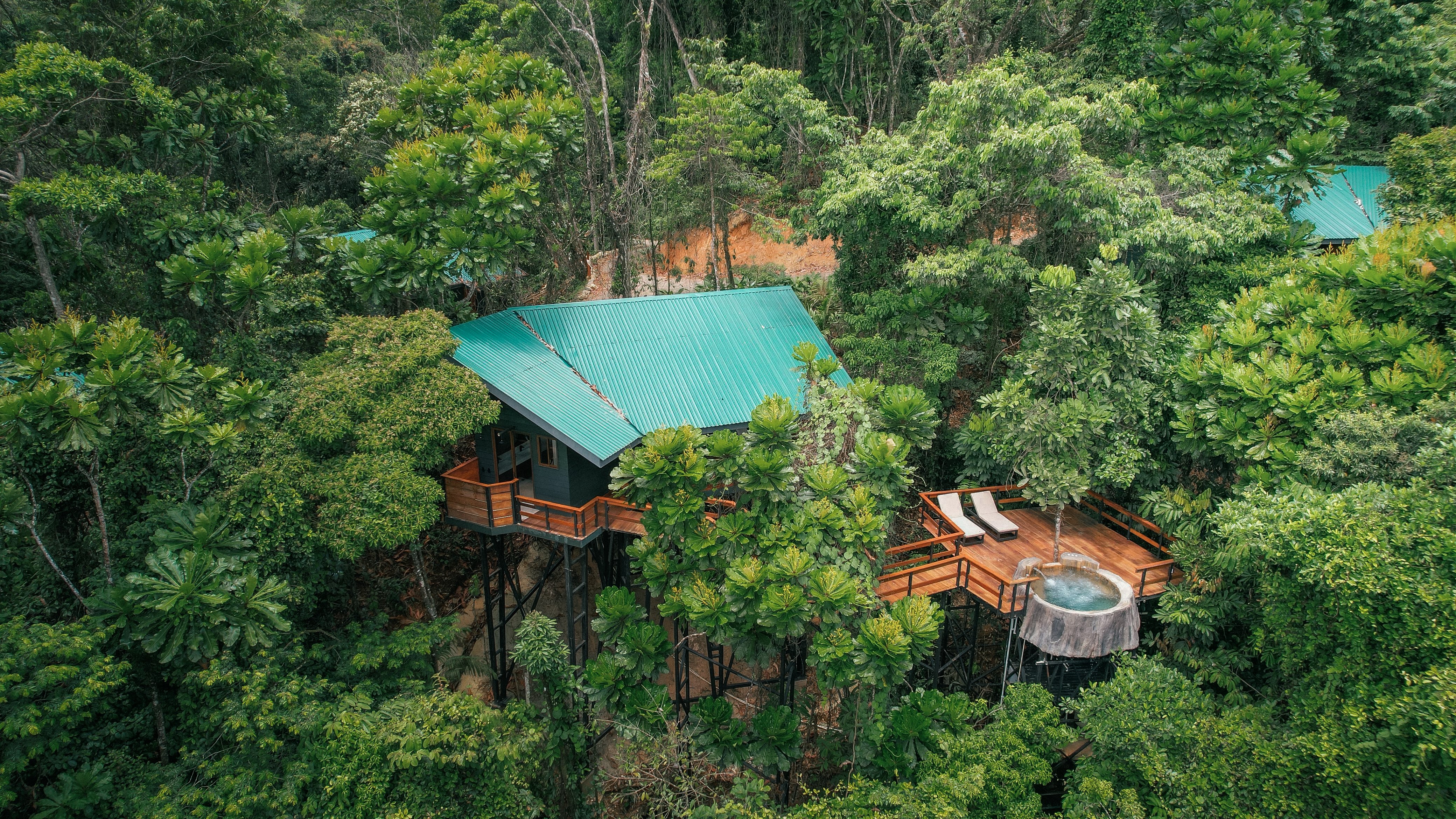 jungle tree house dron (5)
