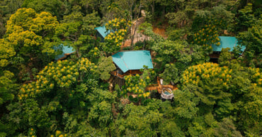 25 Meters Above Wonder: The Jungle Tree House Experience at Chachagua