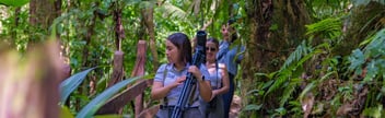 Into the Heart of Chachagua: A No-Cost Guided Journey Through Costa Rica’s Lush Rainforest