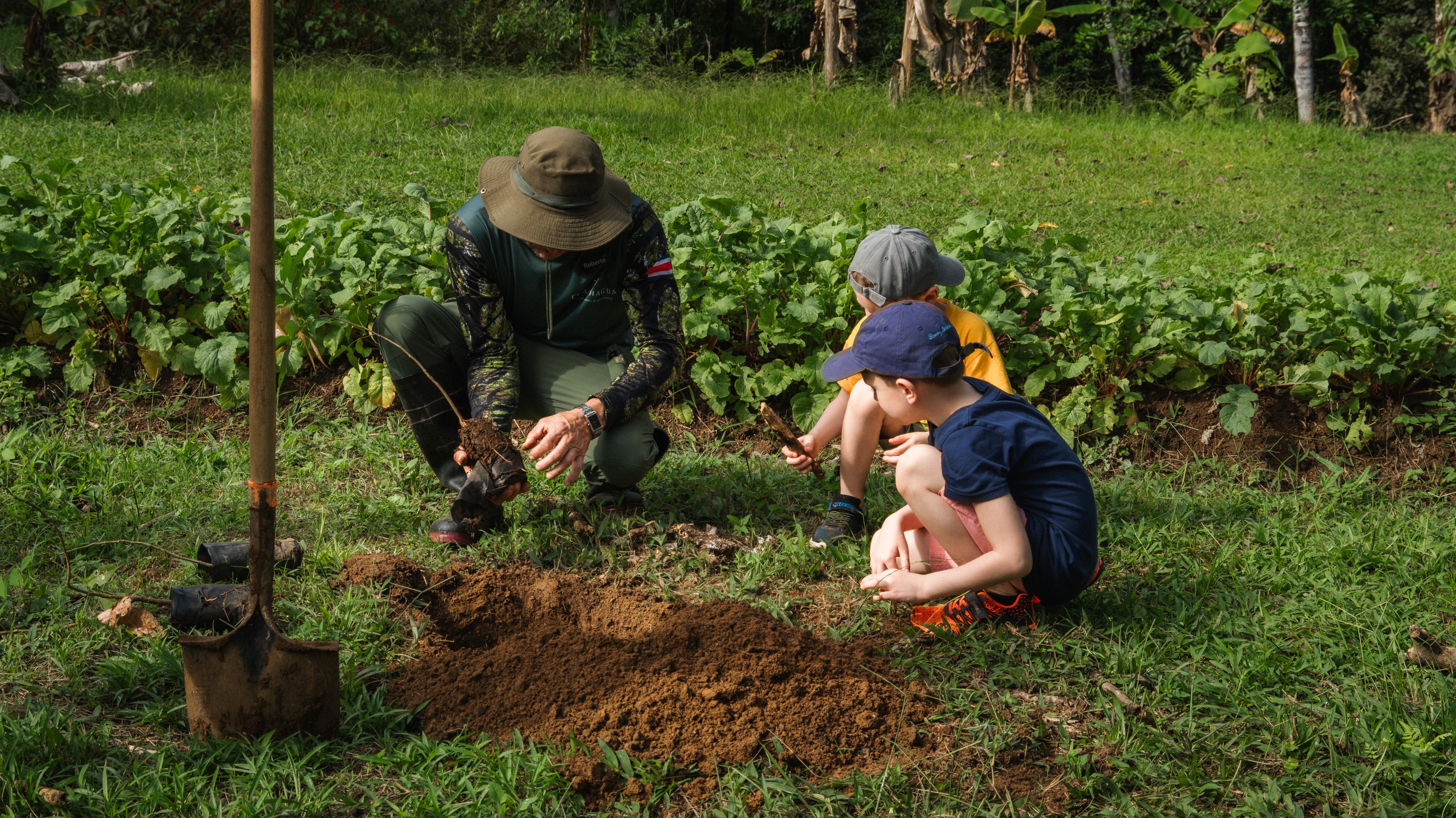 plantando arbol (9)