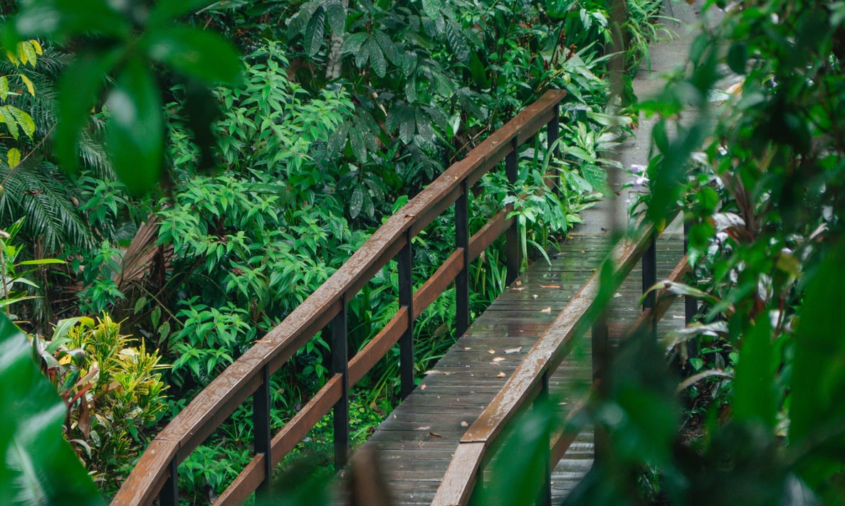 puentes (1)