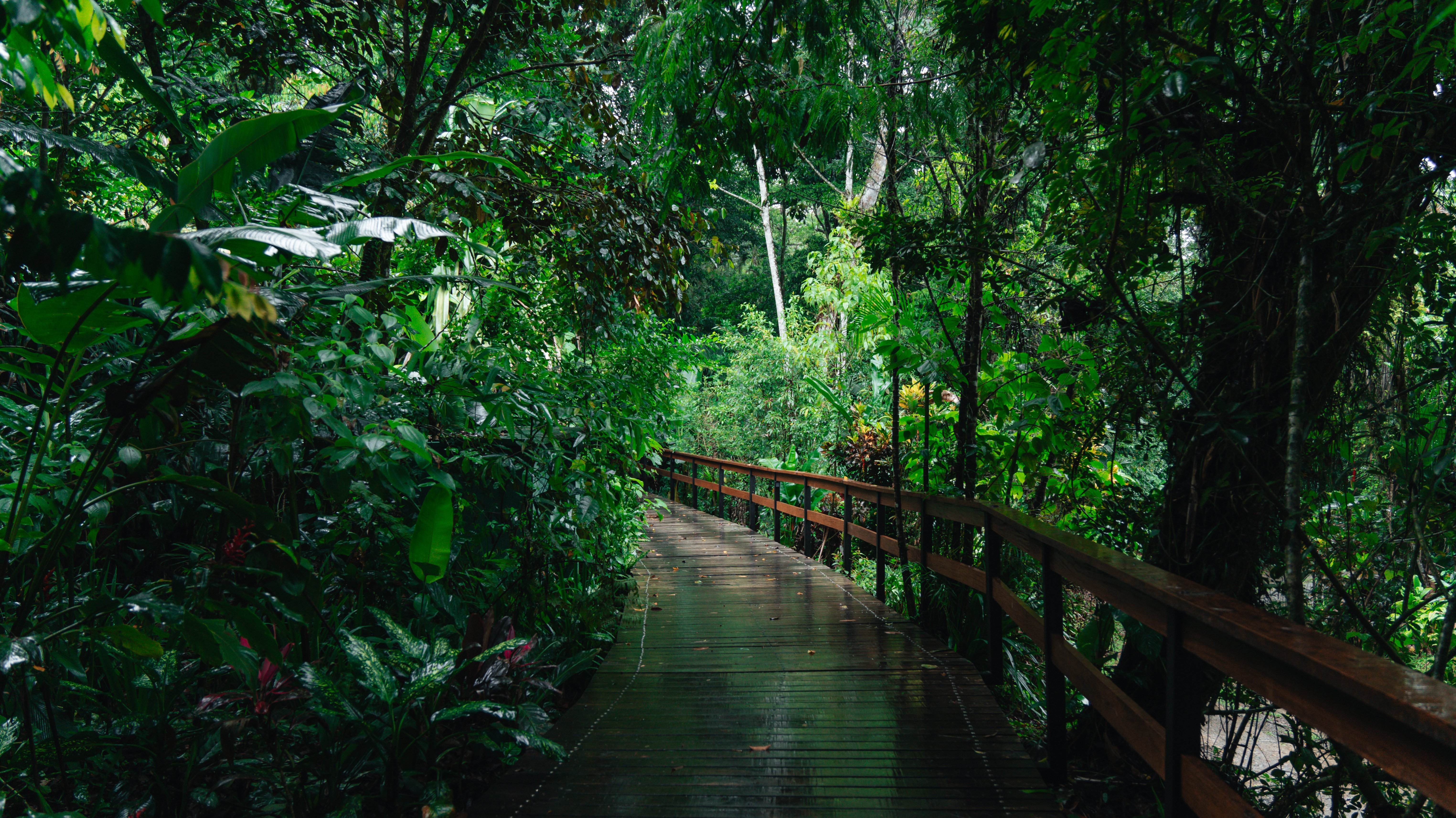 puentes (2) (2)