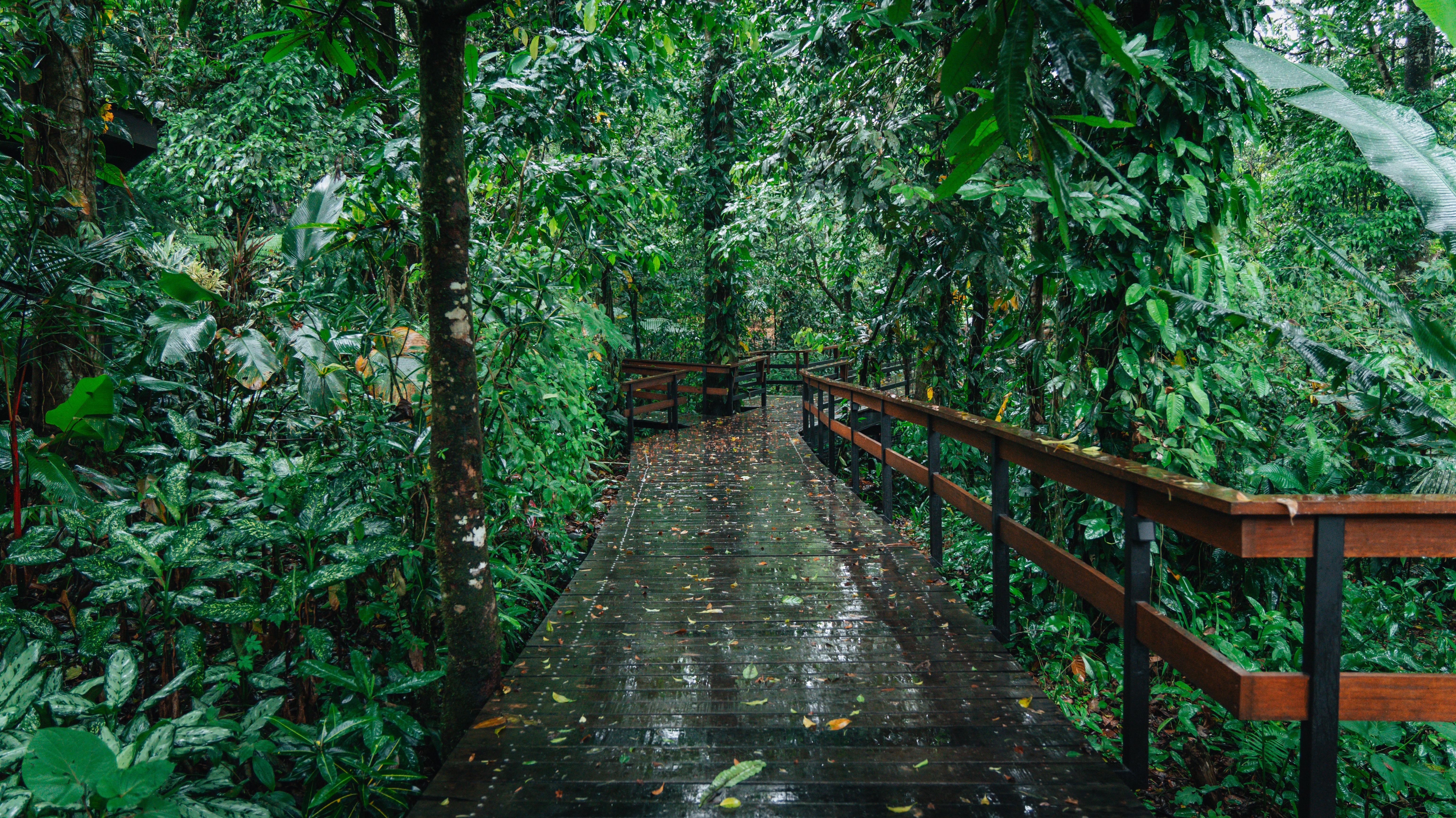 puentes (3) (1)