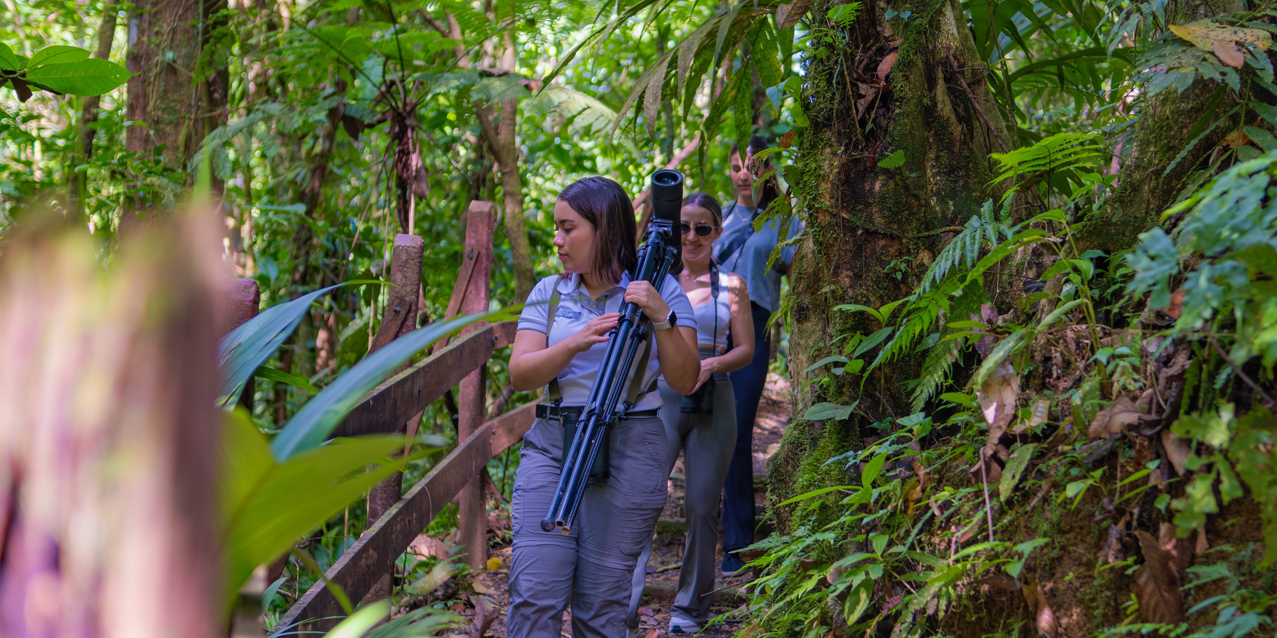 Into the Heart of Chachagua: A No-Cost Guided Journey Through Costa Rica’s Lush Rainforest