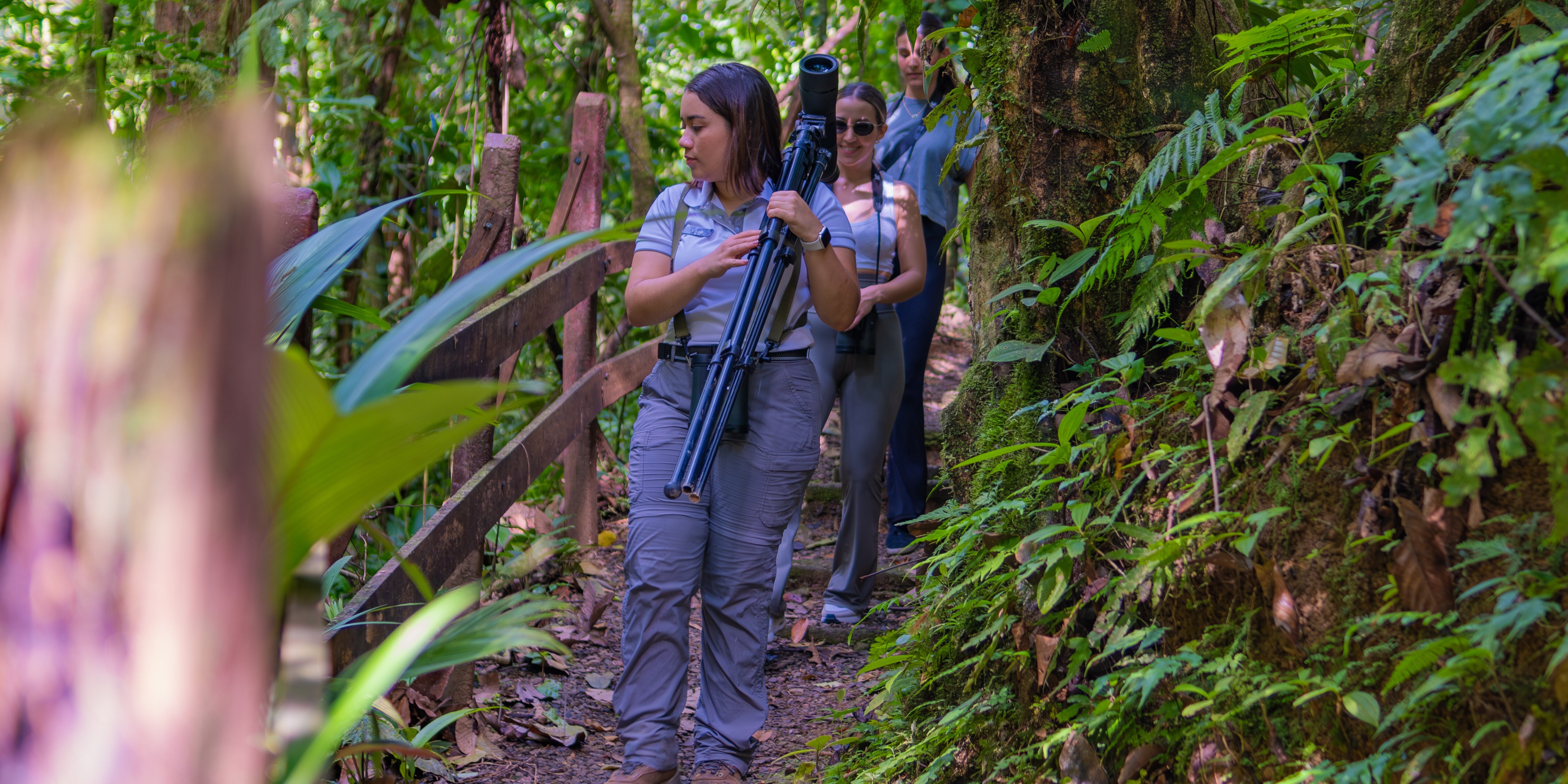 Into the Heart of Chachagua: A No-Cost Guided Journey Through Costa Rica’s Lush Rainforest