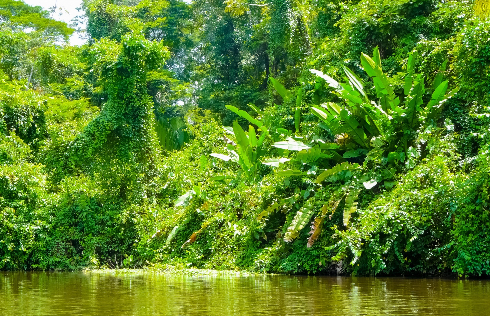 Costa Rica's Caribbean landscape