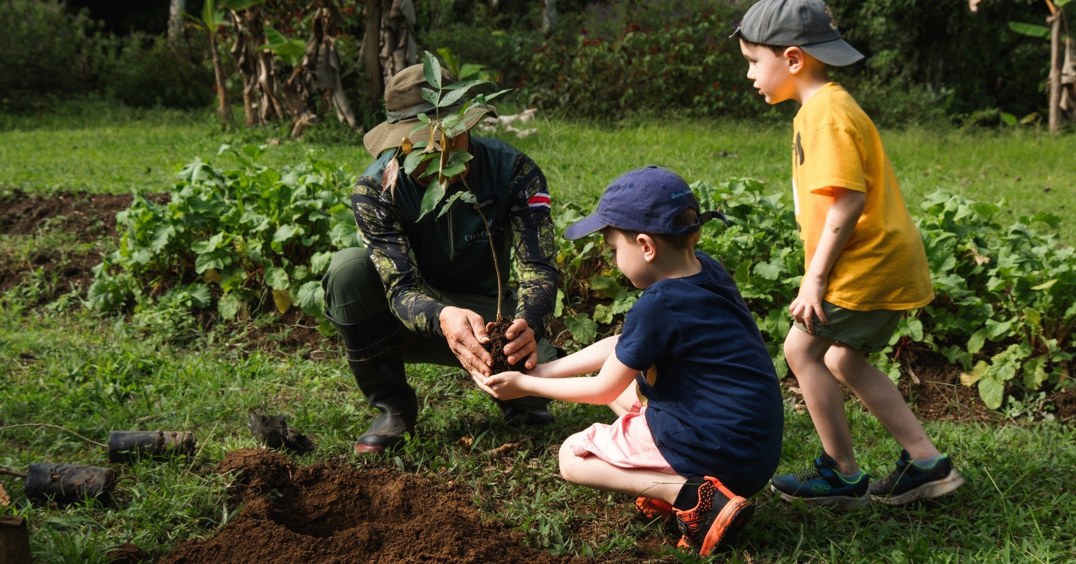 Plant a tree at Chachagua Rainforest