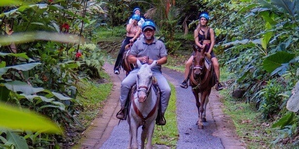 Discover the Magic of Chachagua on Horseback