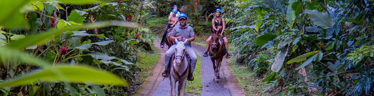 Descubre la magia de Chachagua en un paseo a caballo