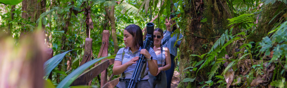 Into the Heart of Chachagua: A No-Cost Guided Journey Through Costa Rica’s Lush Rainforest